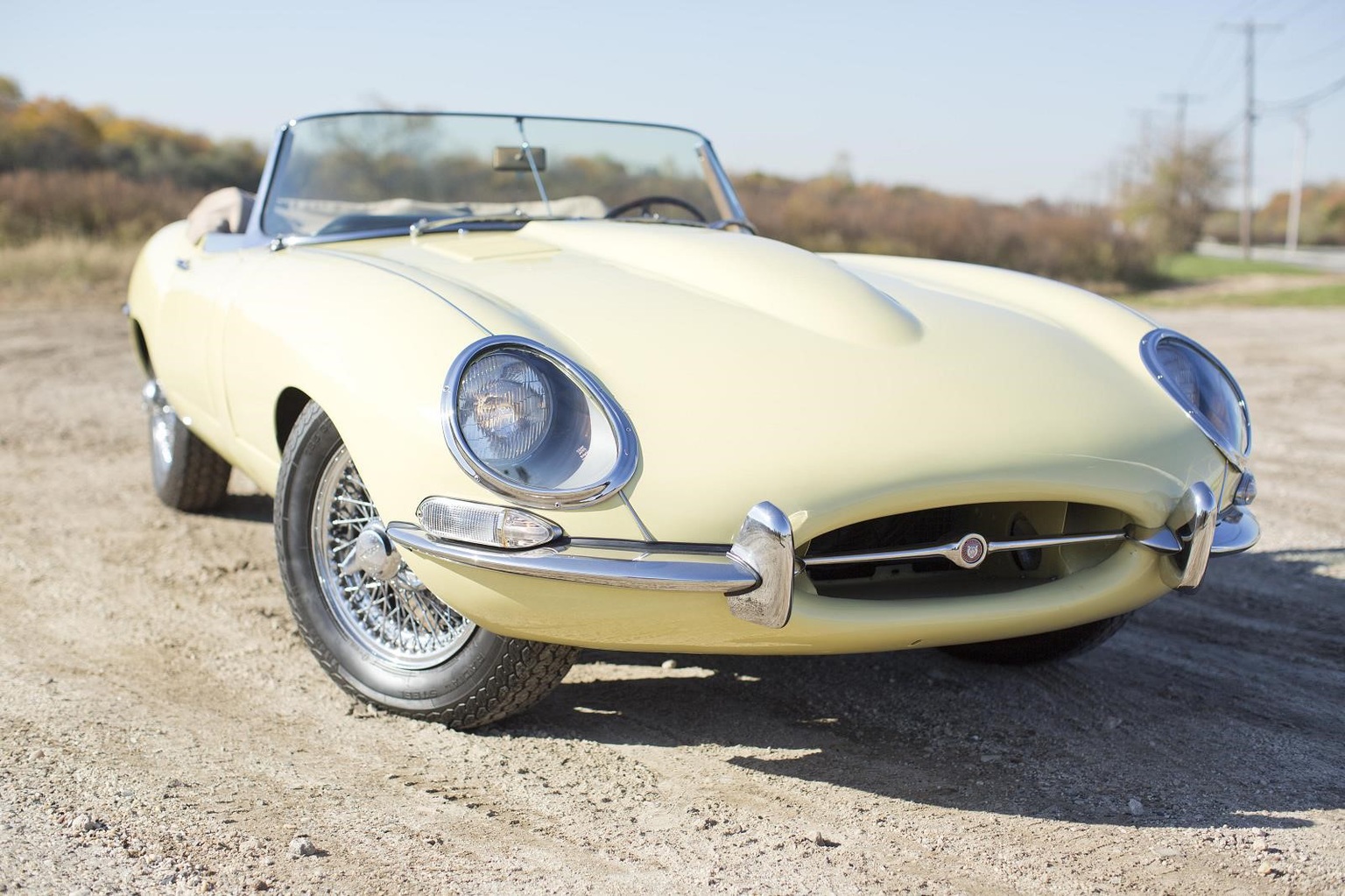 The Scottsdale Auction 2015 by Bonhams