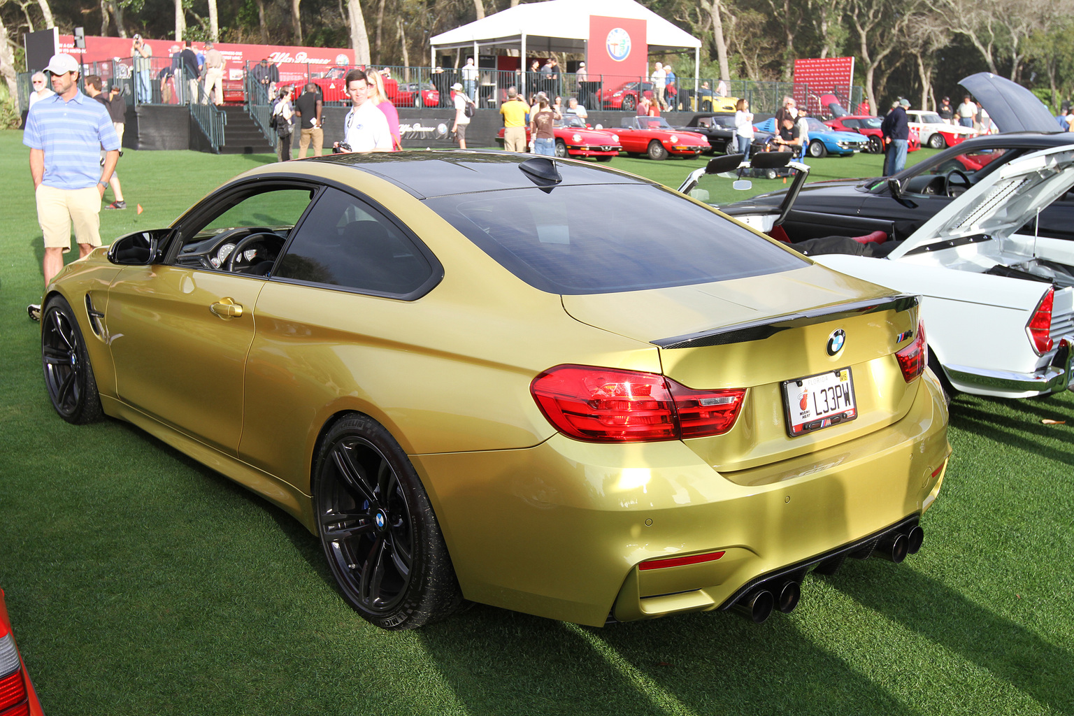 2014 BMW M4 Gallery