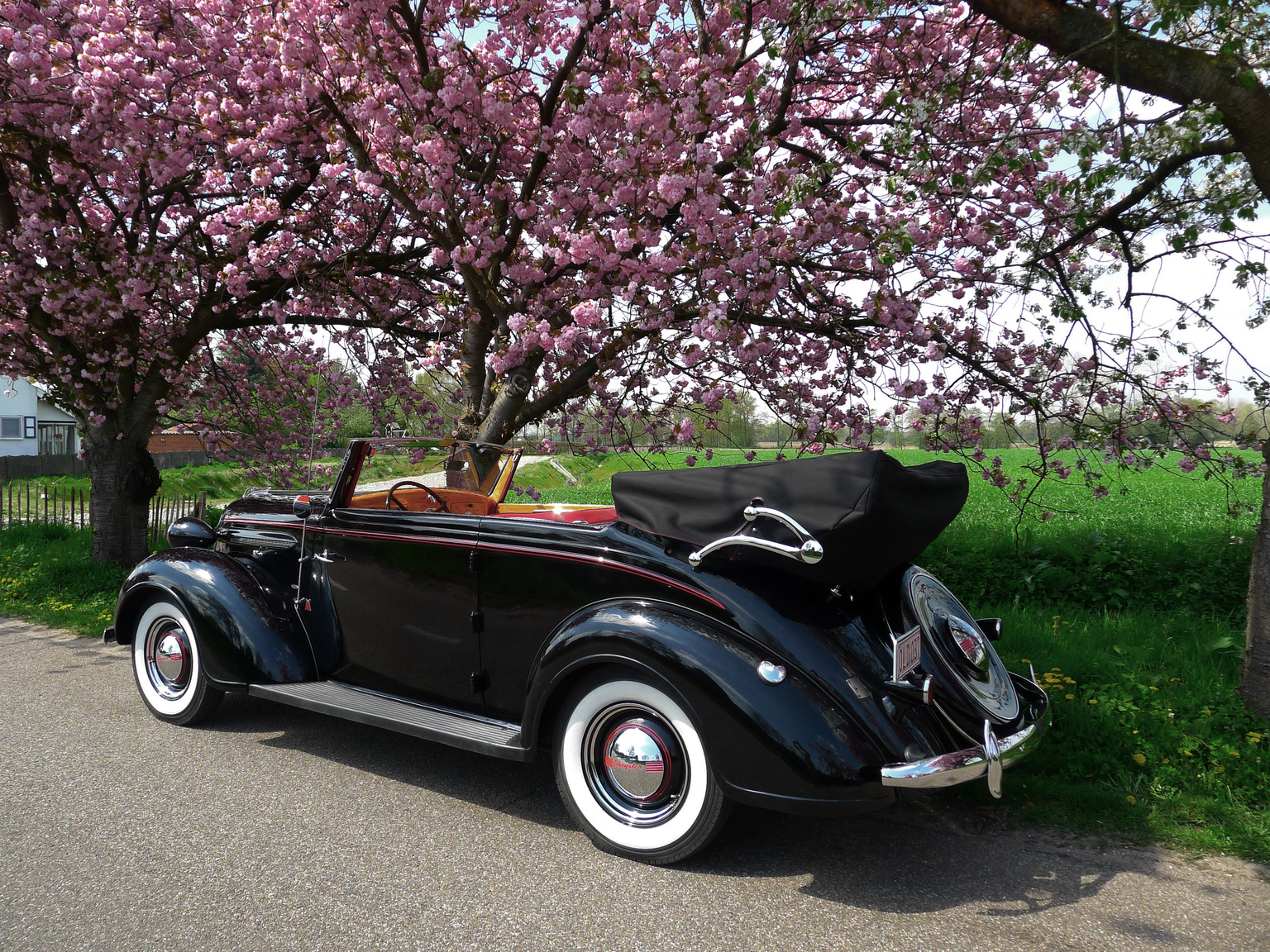 1936→1937 Chrysler Six