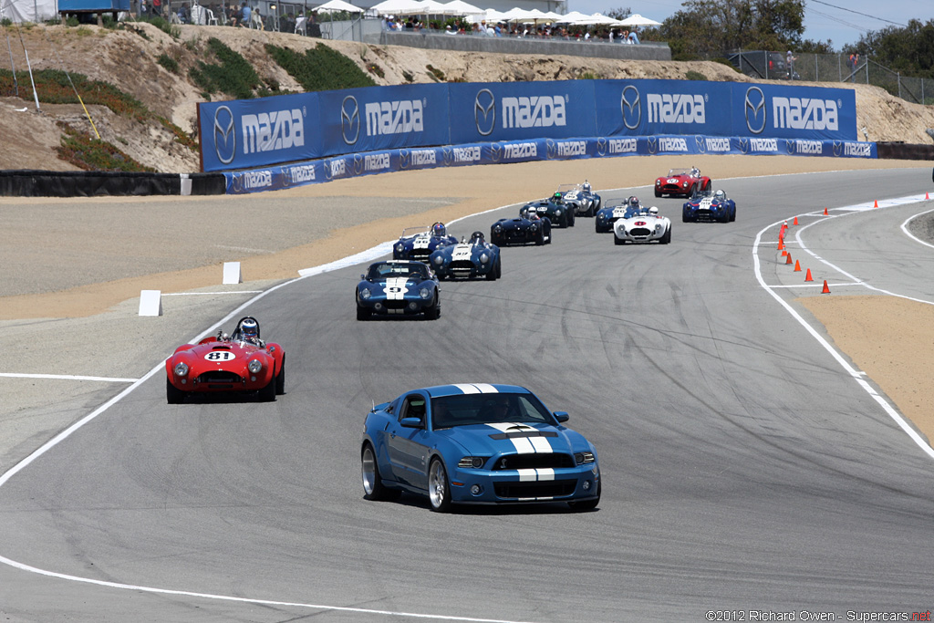 2013 Shelby GT500 Cobra Gallery