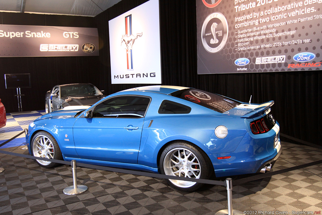 2013 Shelby GT500 Cobra Gallery