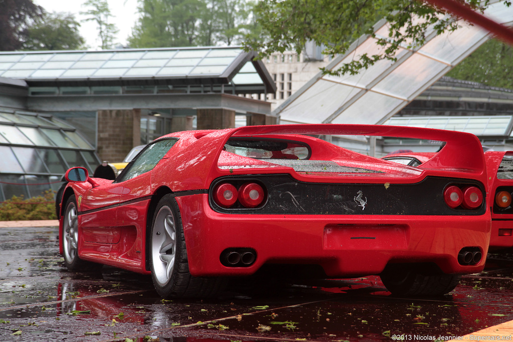 1995 Ferrari F50 Gallery