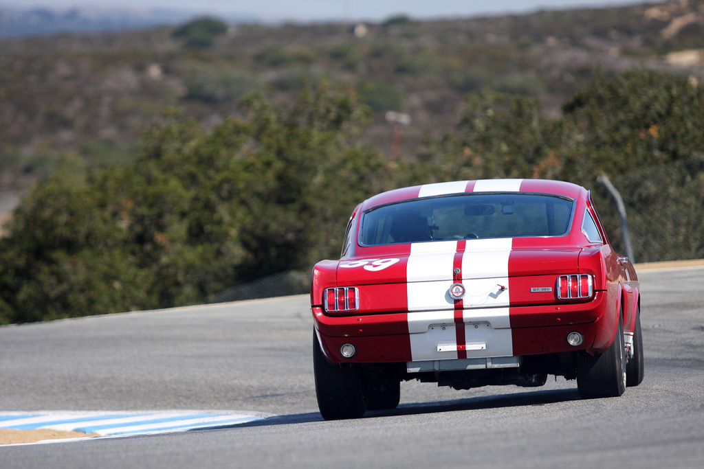 1966 Shelby GT350 Fastback Gallery