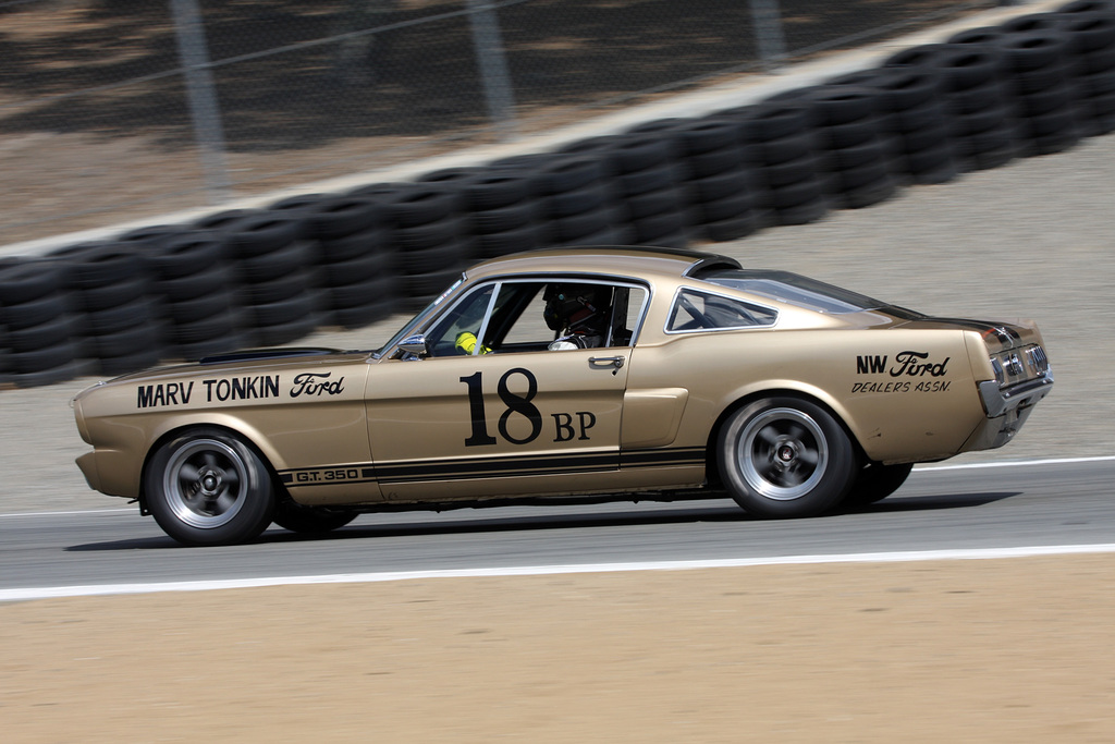 1966 Shelby GT350 Fastback Gallery