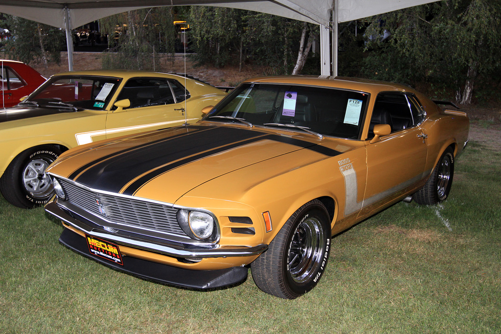 1970 Ford Mustang BOSS 302 Gallery