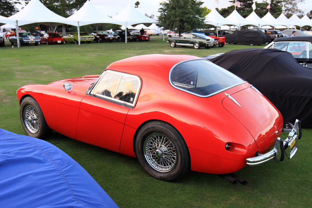 1955 Austin Healey 100 BN2 Gallery