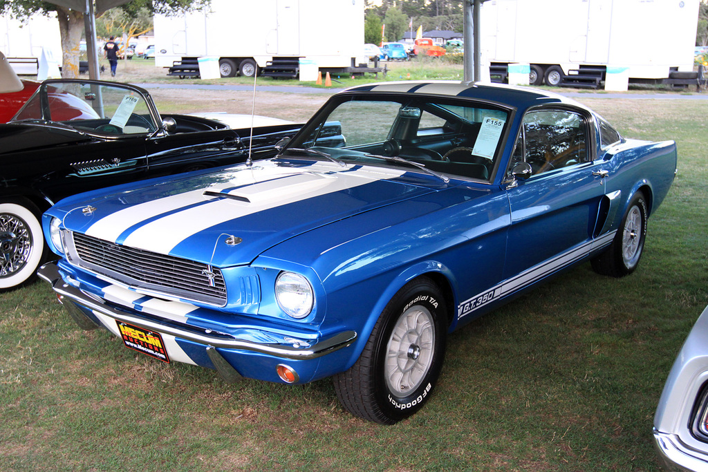 1966 Shelby GT350 Fastback Gallery