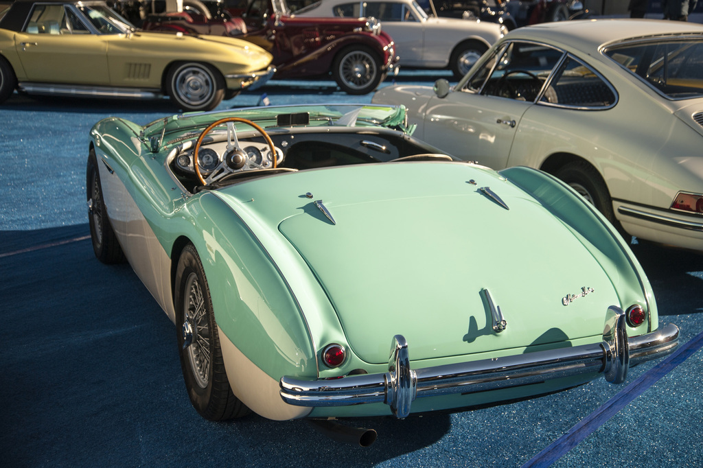 1955 Austin Healey 100M Gallery