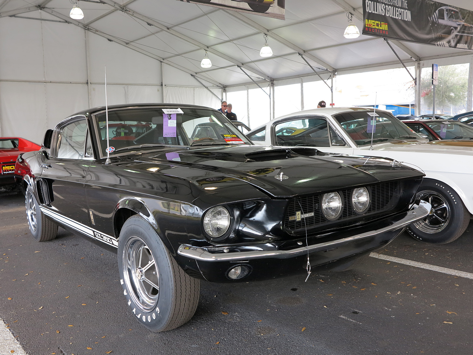 1967 Shelby GT350 Fastback