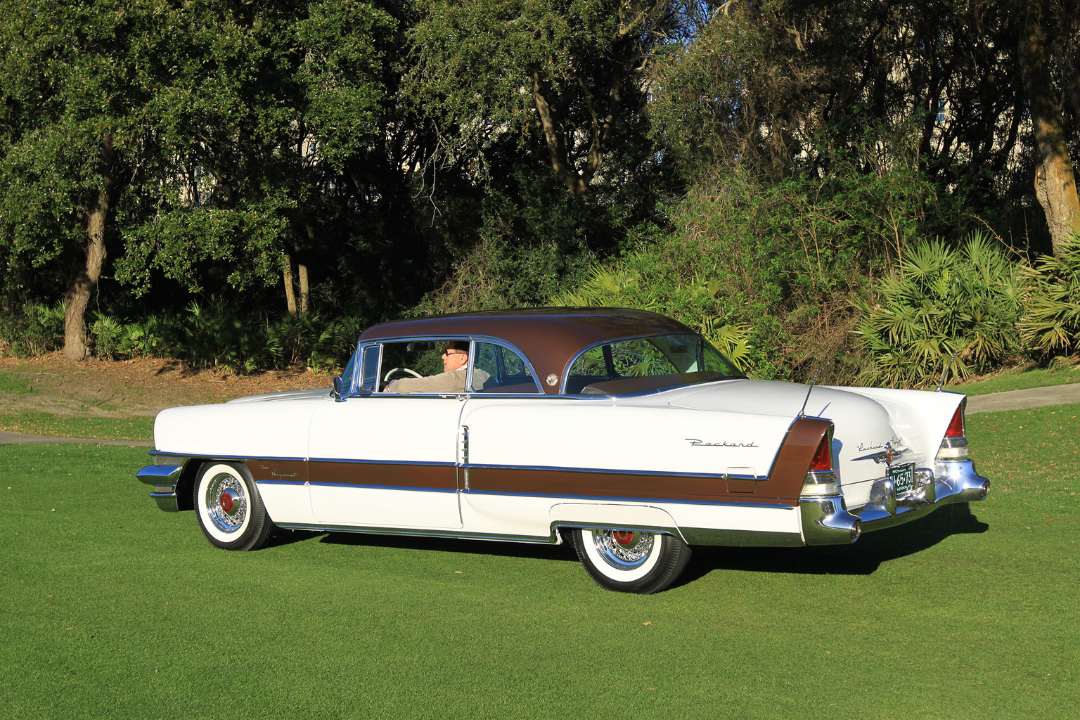 1955 Packard Request Gallery