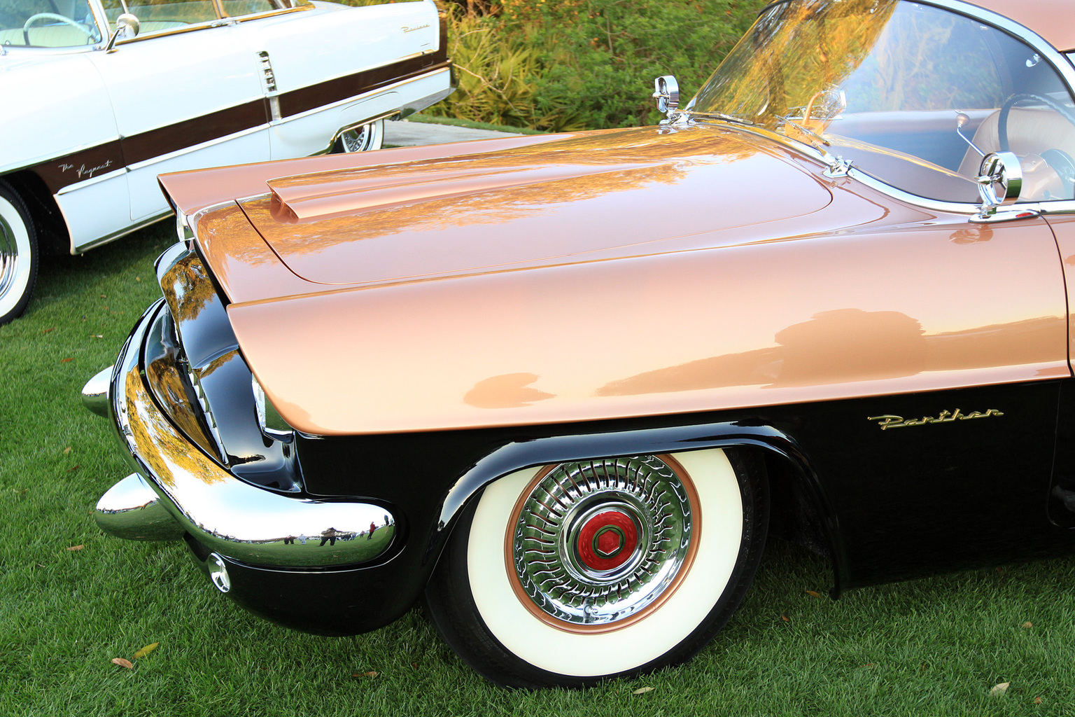 1954 Packard Panther-Daytona Roadster Gallery