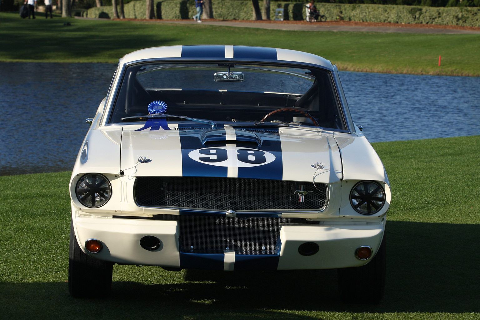 1965 Shelby GT350R Gallery