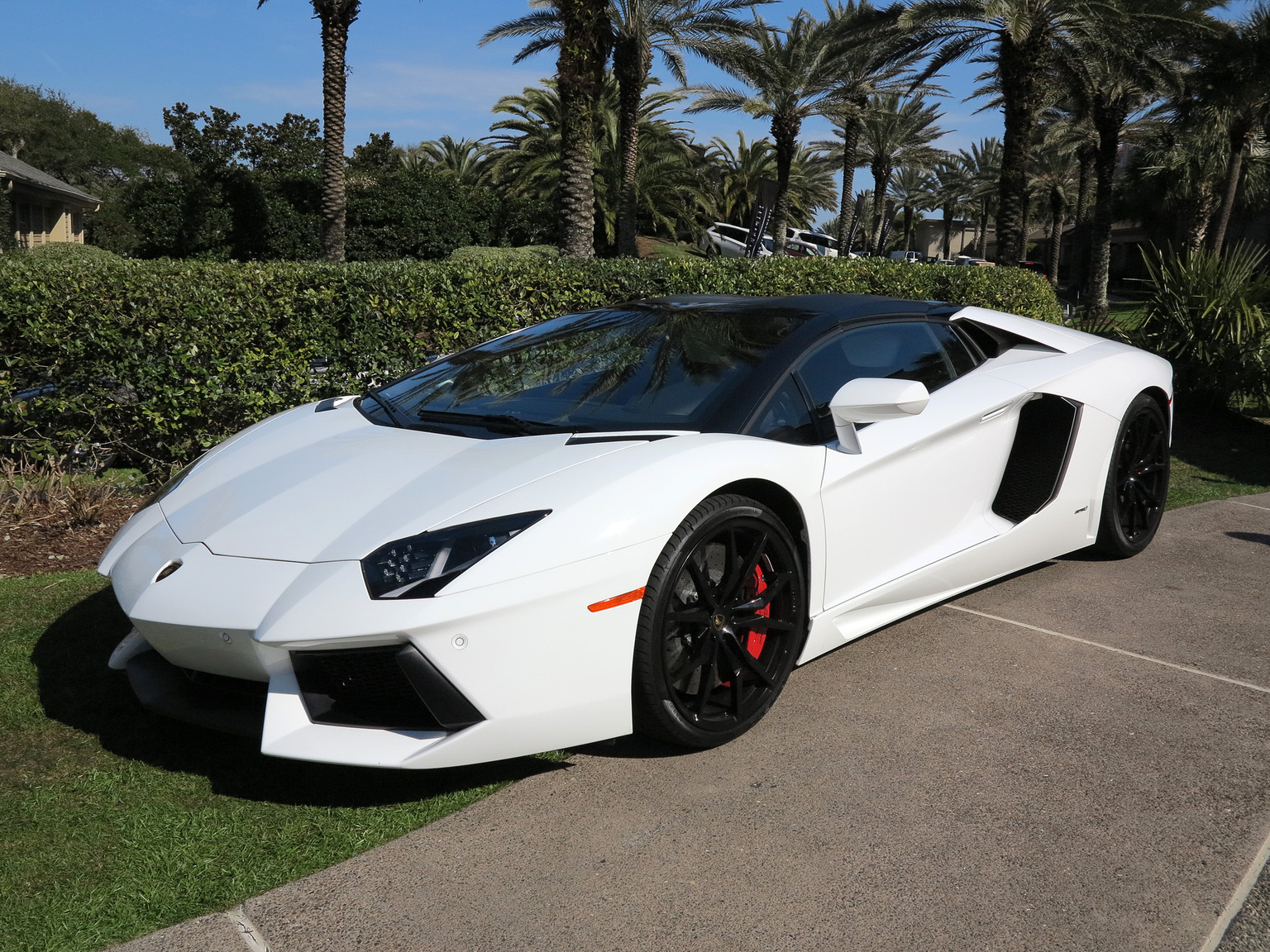 2012 Lamborghini Aventador LP 700-4 Roadster Gallery