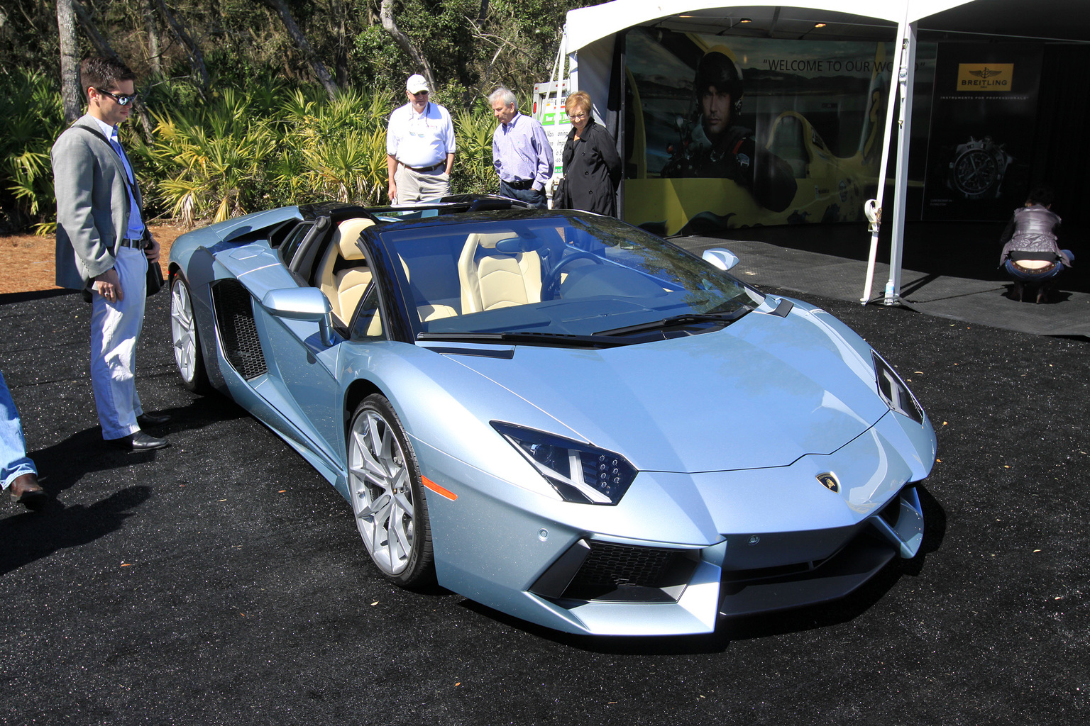 2012 Lamborghini Aventador LP 700-4 Roadster Gallery