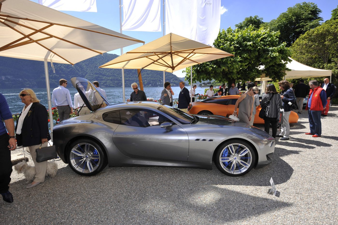 2014 Maserati Alfieri Gallery