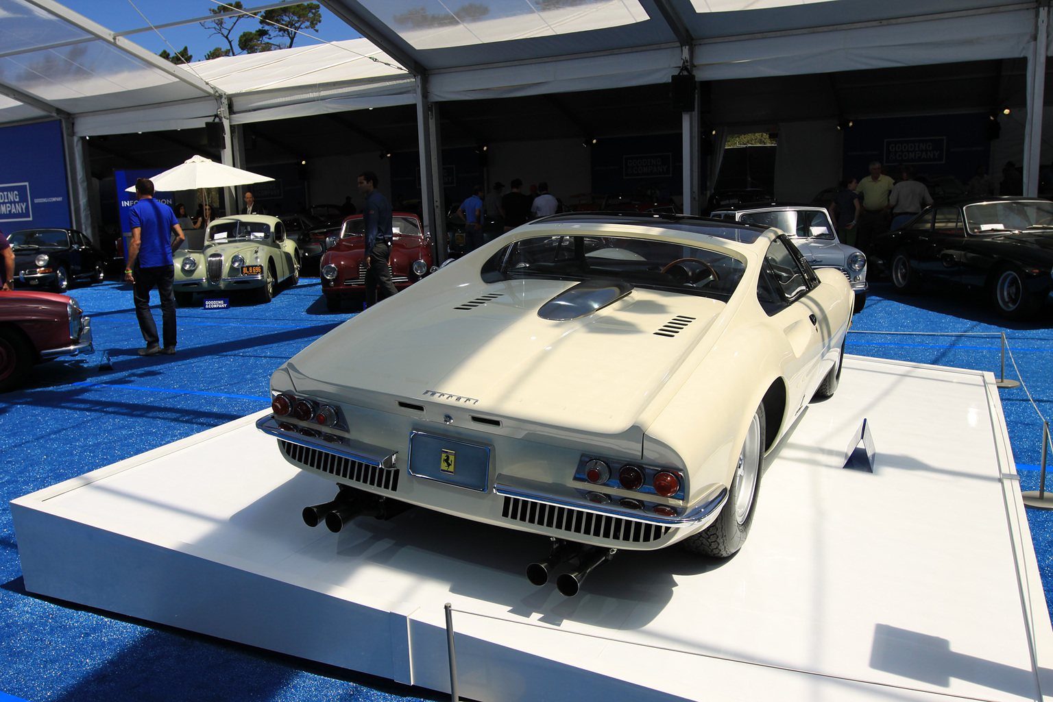 1966 Ferrari 365 P Berlinetta Speciale Gallery