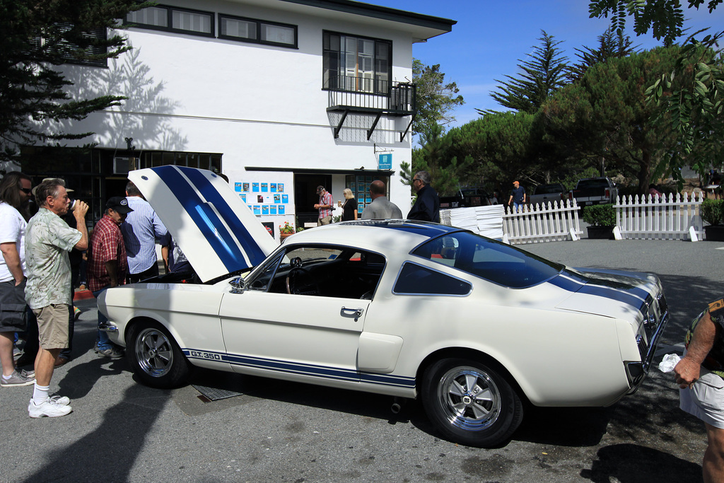 1966 Shelby GT350 Fastback Gallery