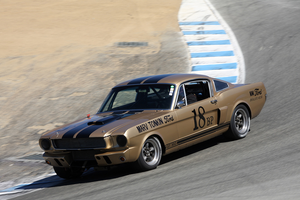 1966 Shelby GT350 Fastback Gallery