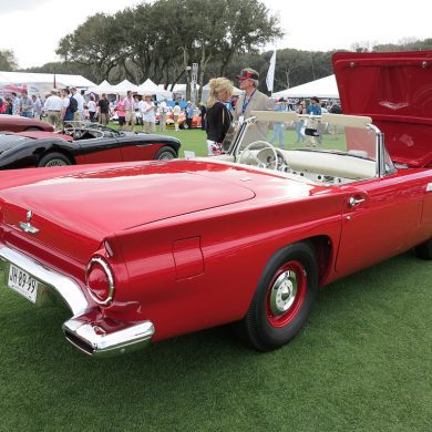 1957 Ford Thunderbird Gallery