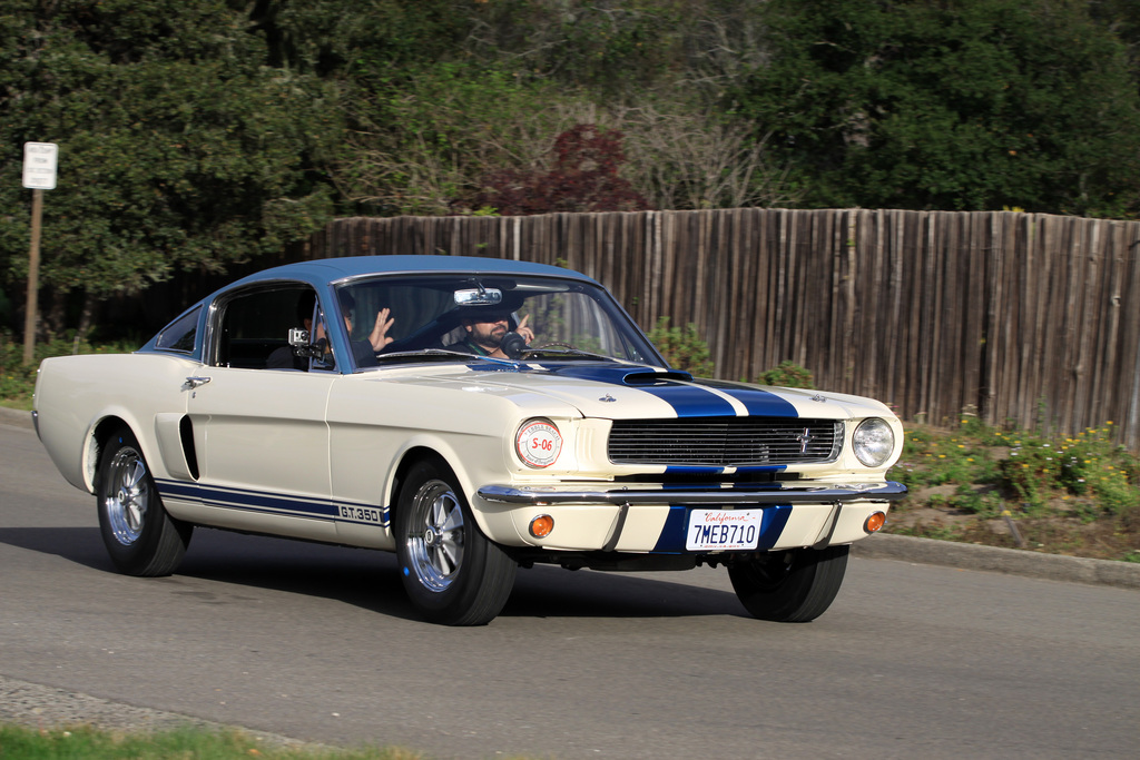 1966 Shelby GT350 Fastback Gallery