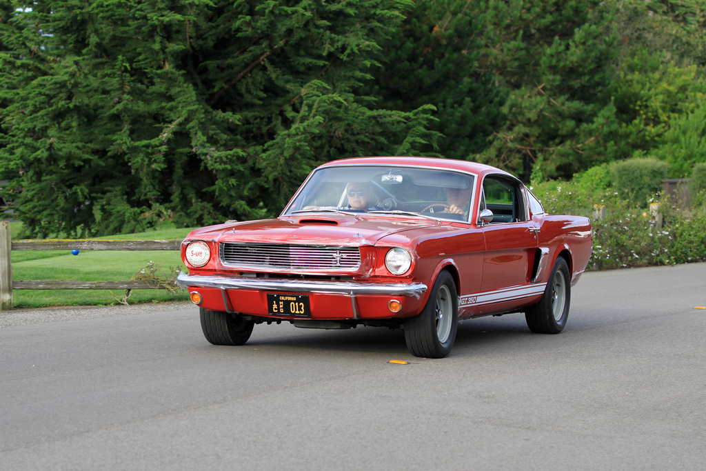 1966 Shelby GT350 Fastback Gallery