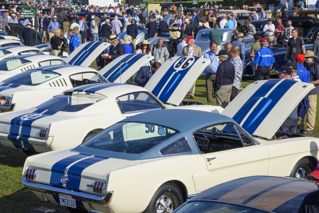 1965 Shelby GT350 Fastback Gallery