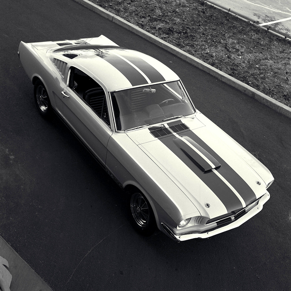 1965 Shelby GT350 Fastback