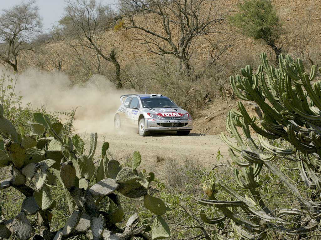 2002 Peugeot 206 WRC