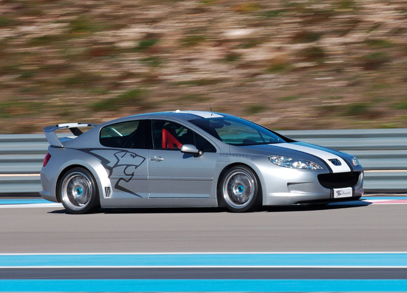 407 peugeot rally