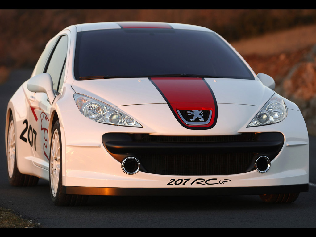 2006 Peugeot 207 RCup