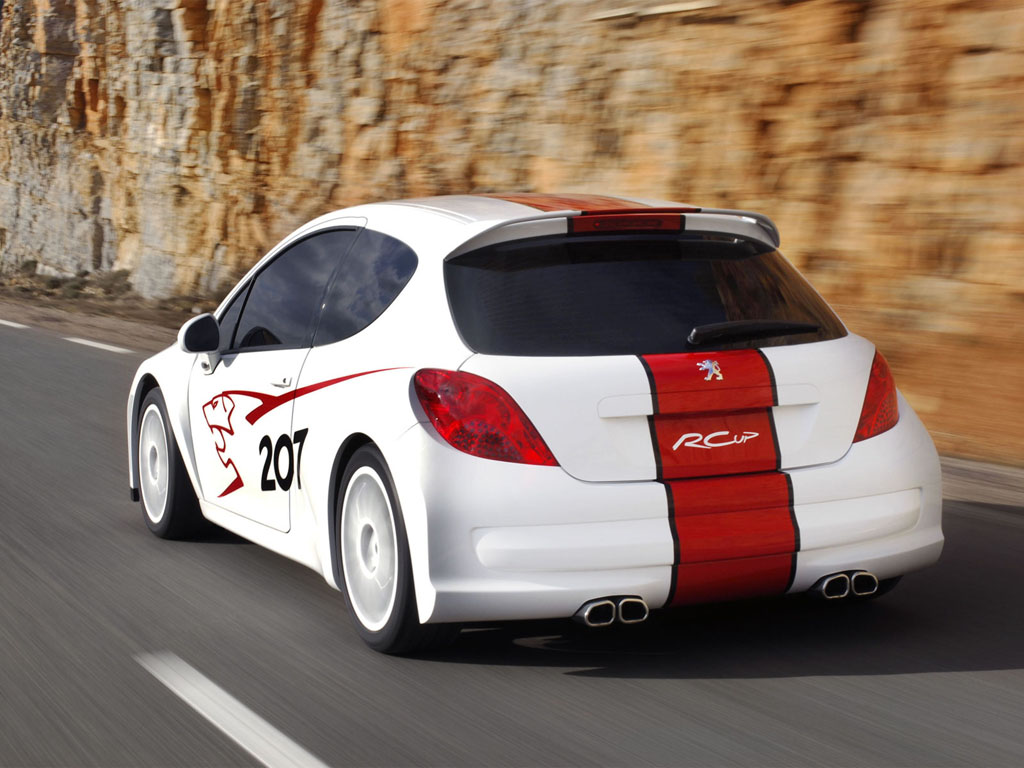 2006 Peugeot 207 RCup