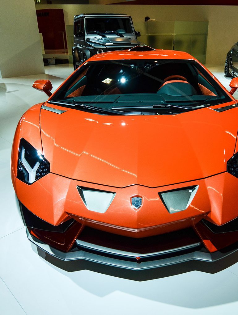 2013 Hamann Nervudo