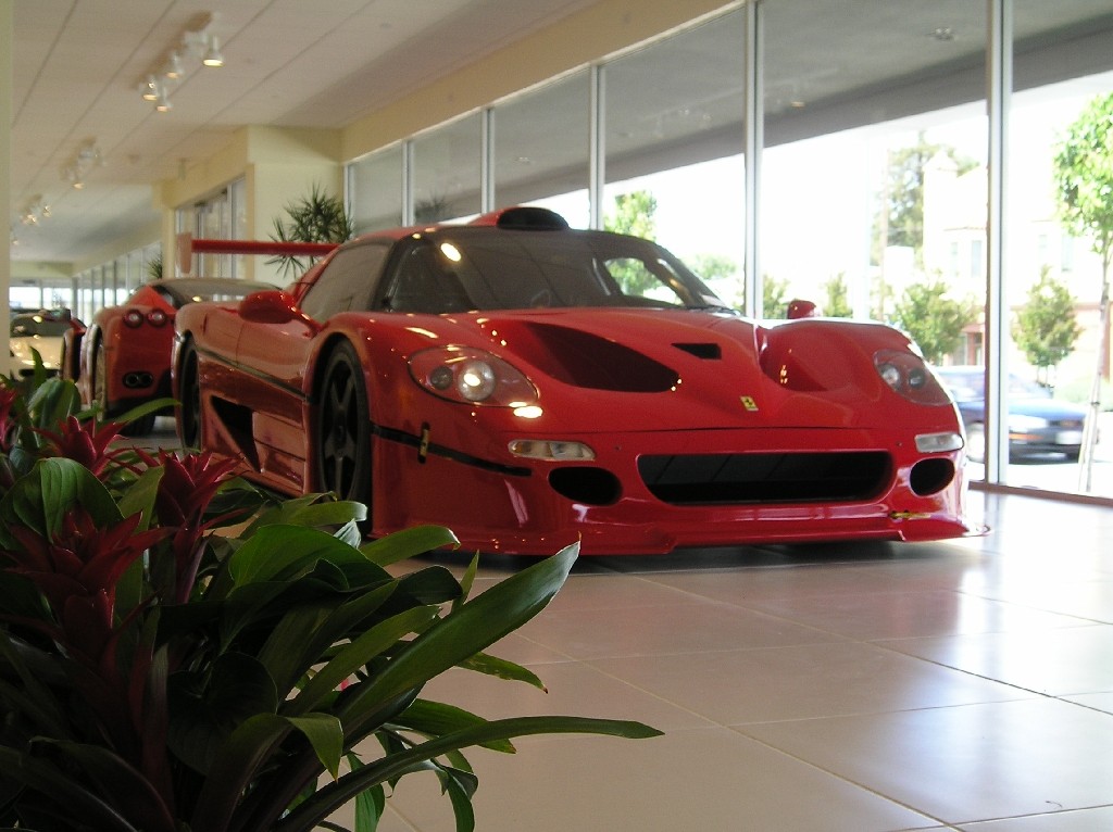 1996 Ferrari F50 GT Gallery