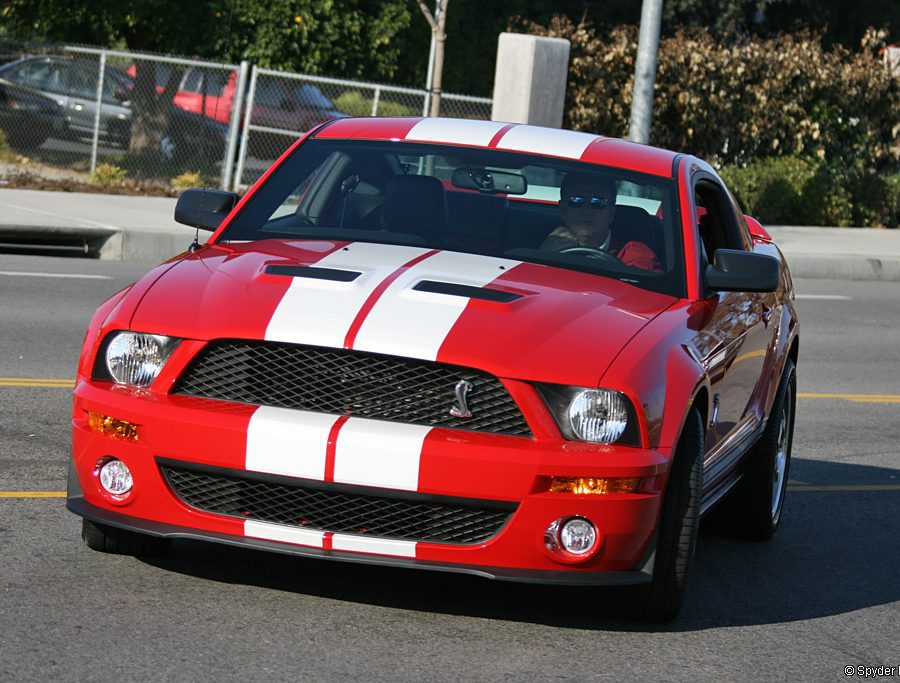 2005 Ford Shelby Cobra GT500 Gallery