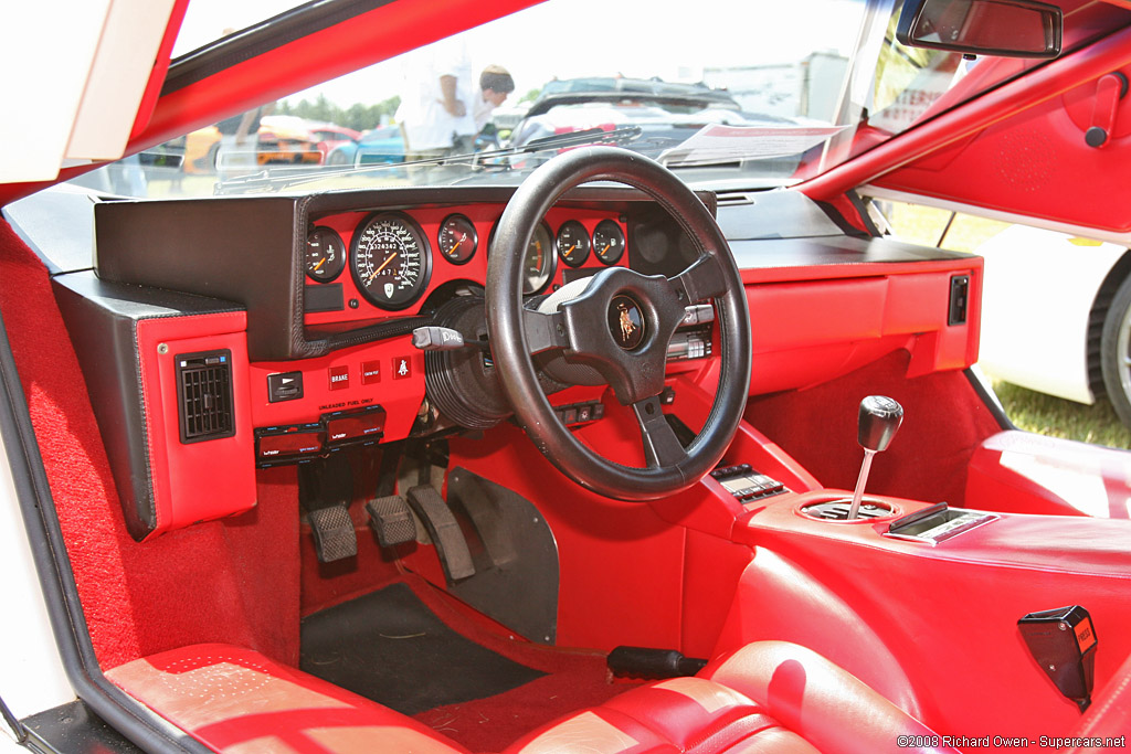 1989 Lamborghini Countach 25th Anniversario Gallery