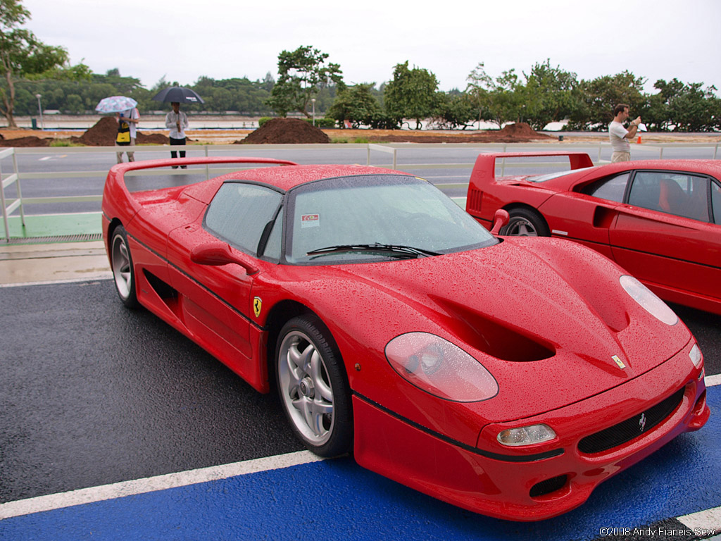 1995 Ferrari F50 Gallery