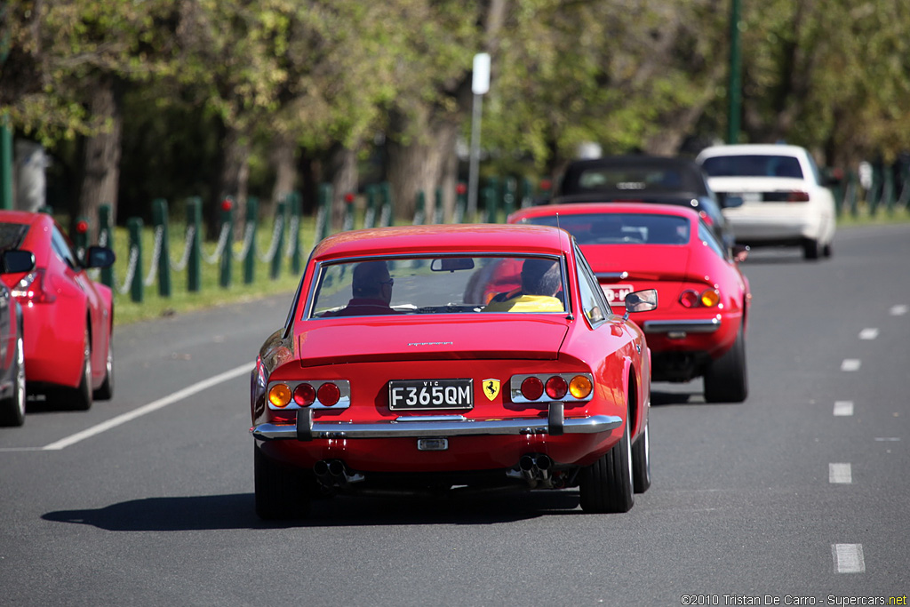 1967 Ferrari 365 GT 2+2 Gallery