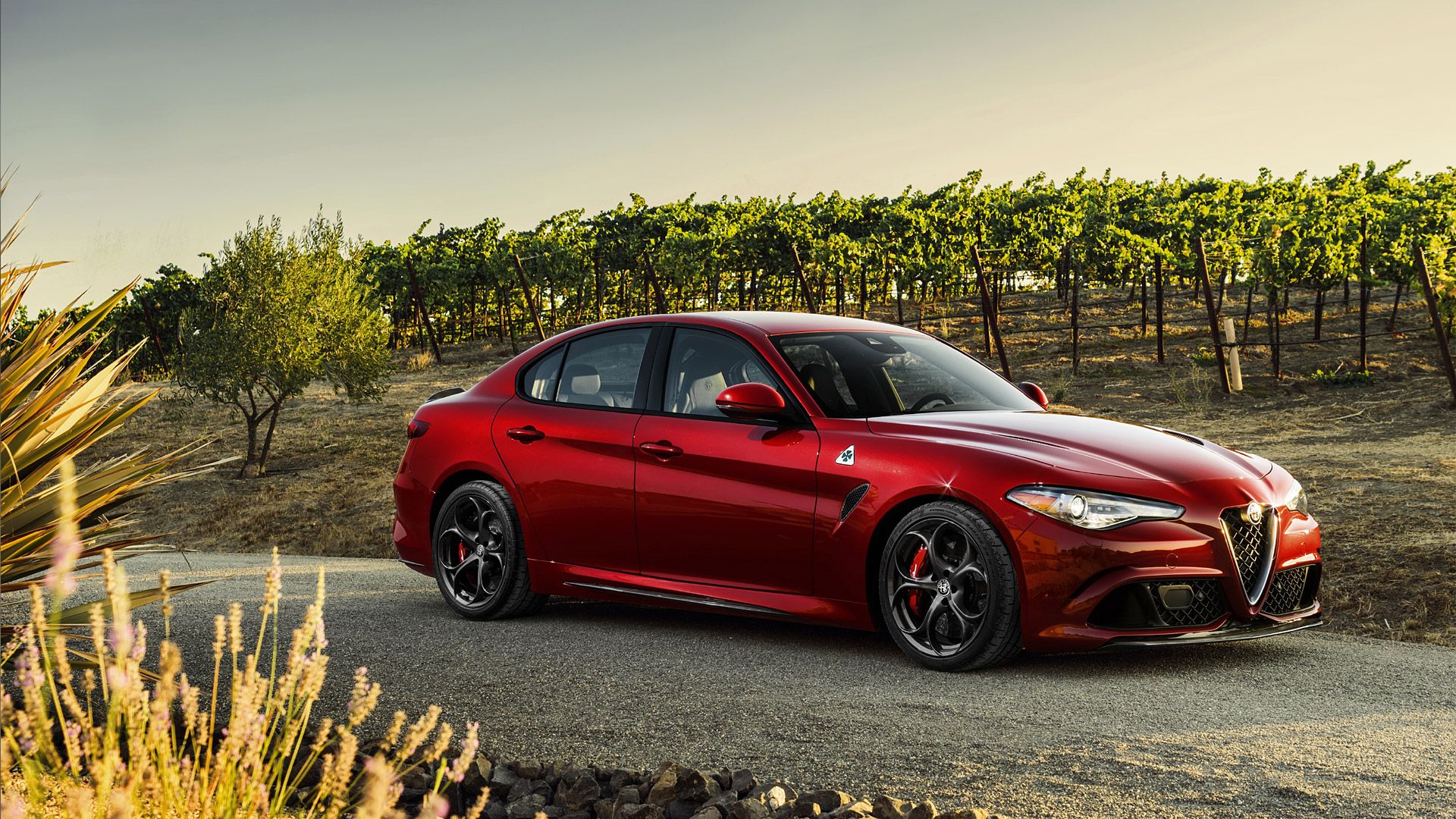 Alfa Romeo Giulia Quadrifoglio