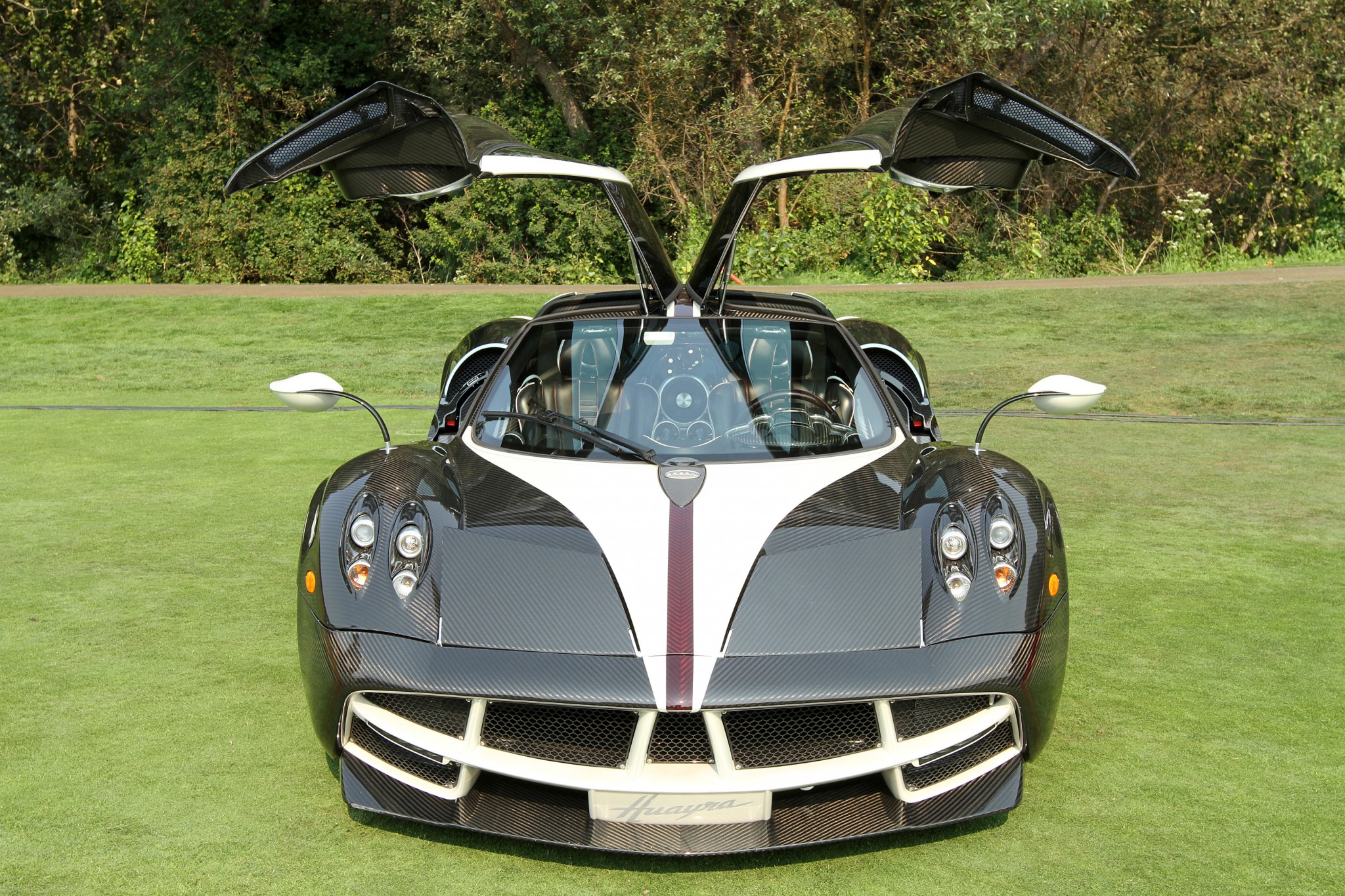 IMG_pagani huayra