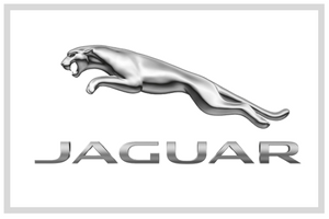 Jaguar Logo