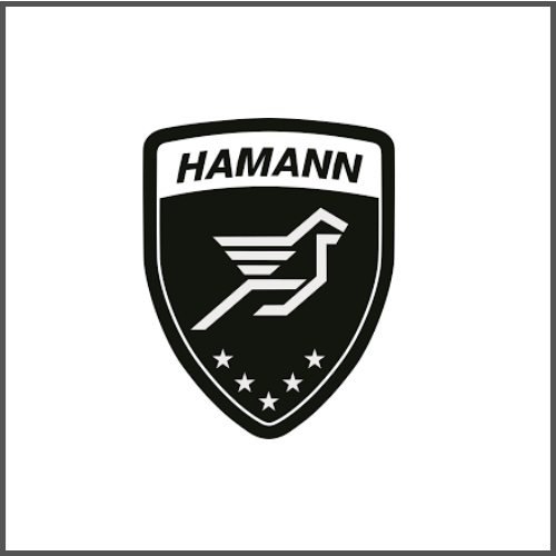 Hamann Logo