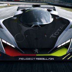 Peugeot and Rebellion racing