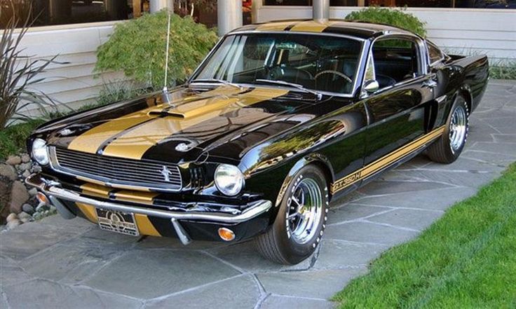 1966 Ford Shelby Mustang