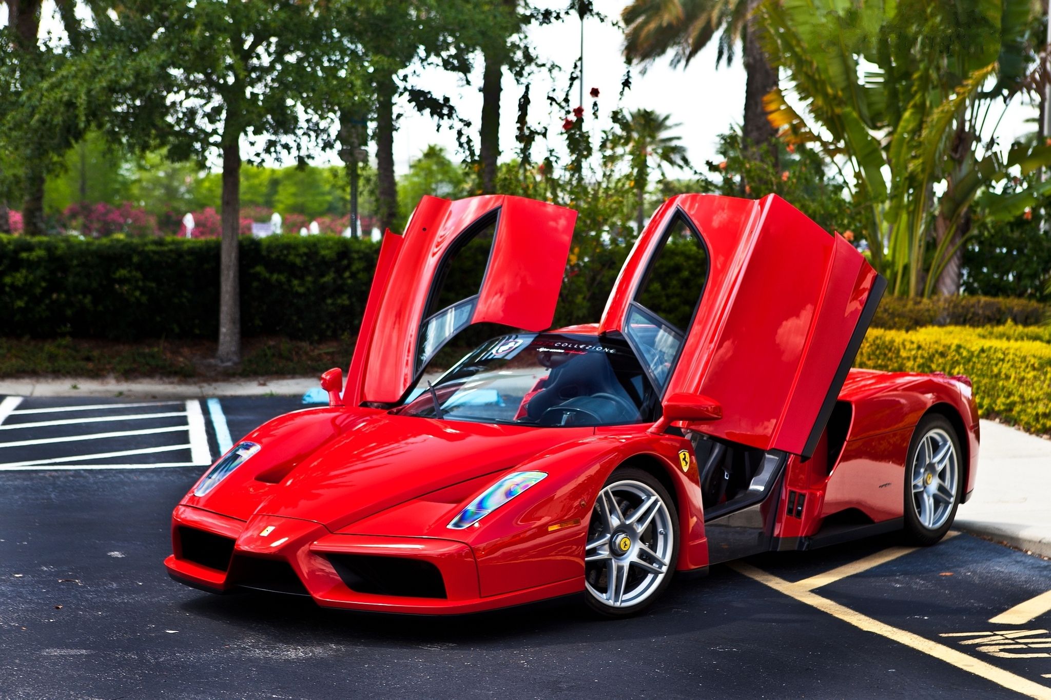 Картинки машин. Феррари Энзо. Ferrari Enzo Ferrari. Ferrari Enzo 2016. Зелёная Феррари Энзо.