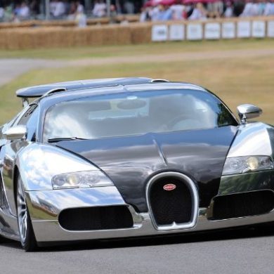 Bugatti 16.4 Veyron Pur Sang