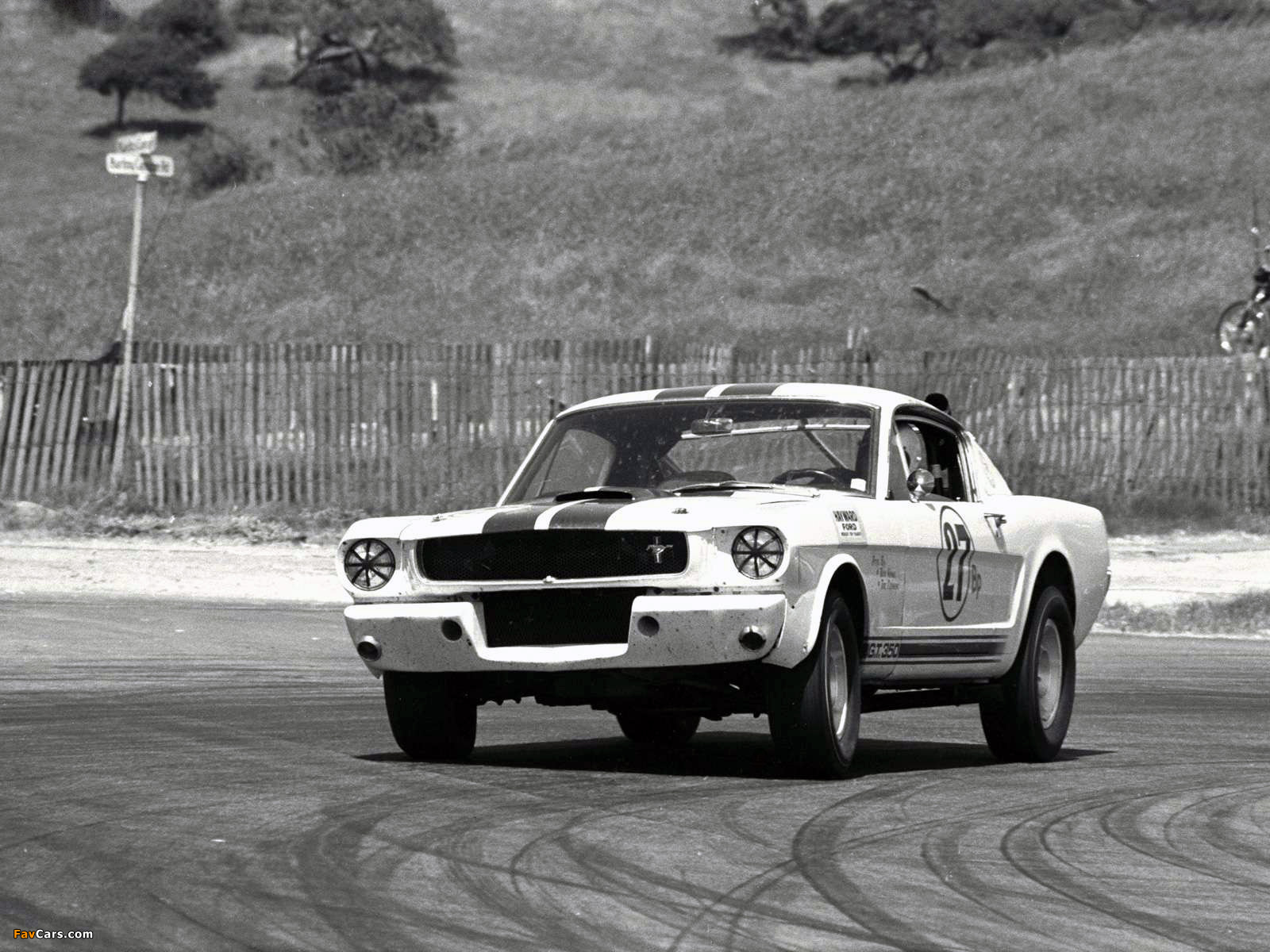 shelby_gt350_1965_images_12.jpg