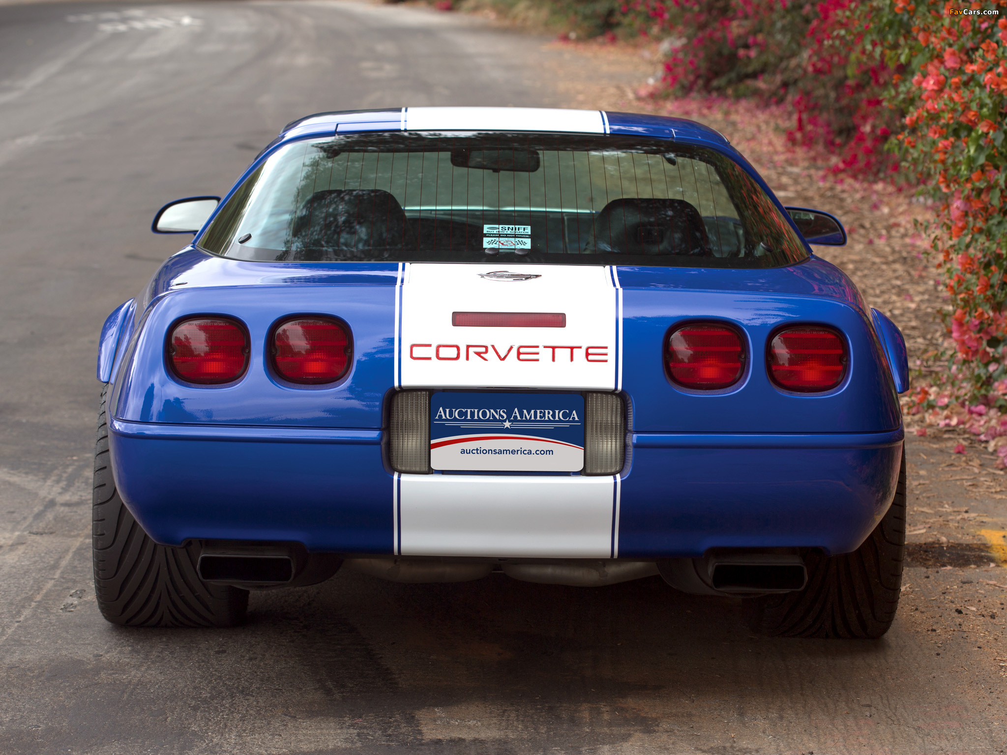 Chevrolet Corvette Grand Sport 1996