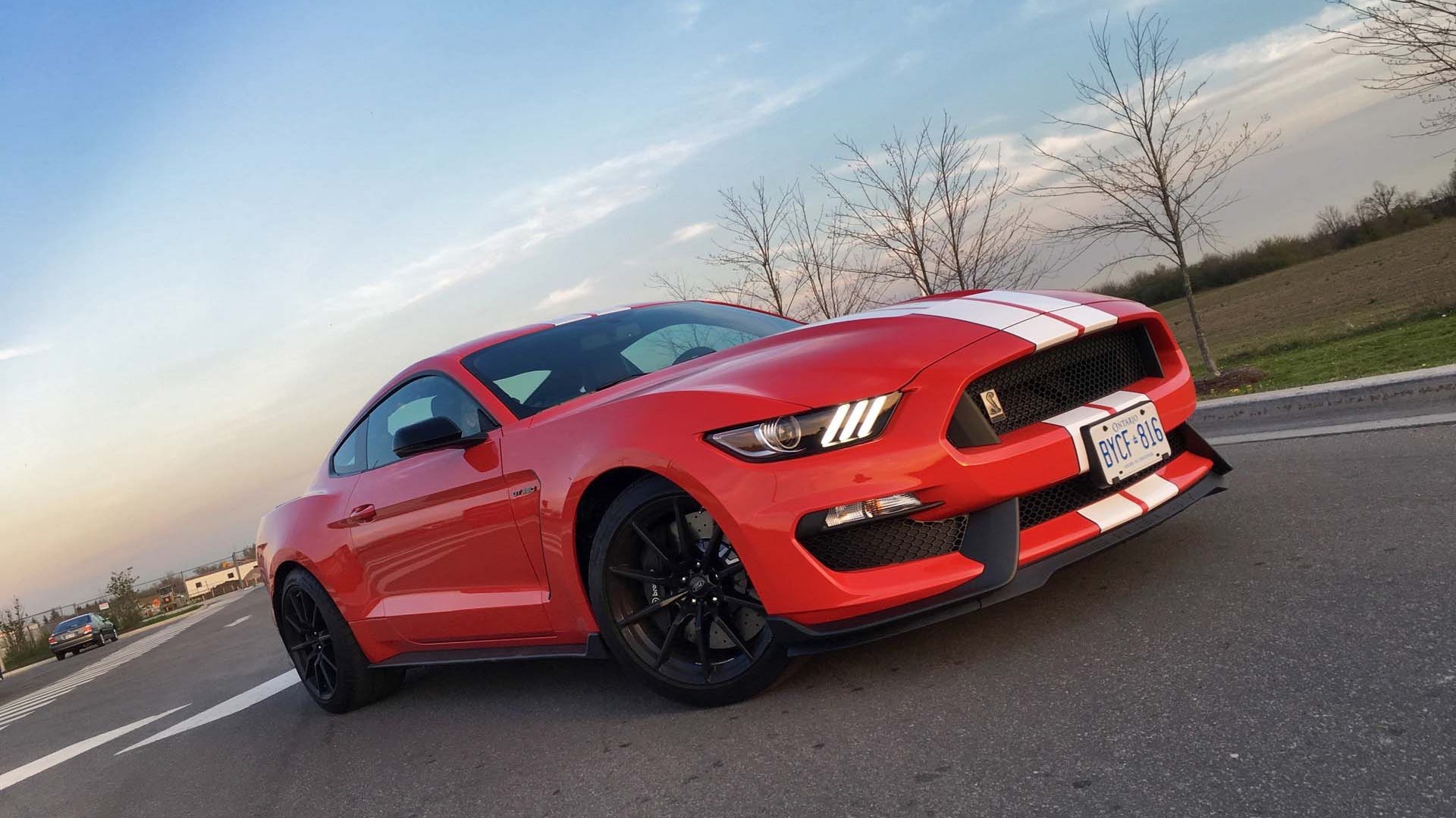 2016 Ford Shelby GT350