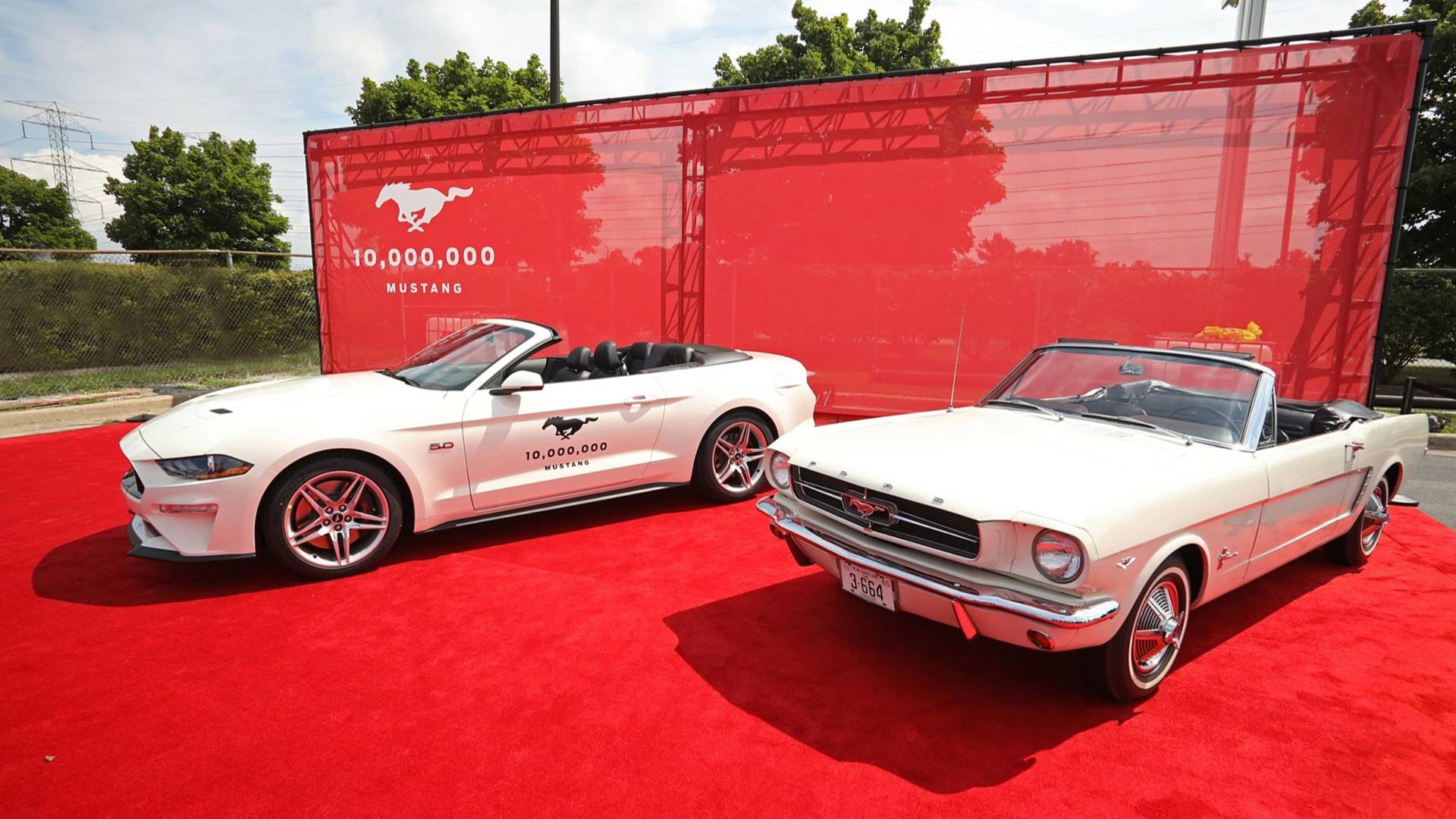 2 mustangs parked on red carpet