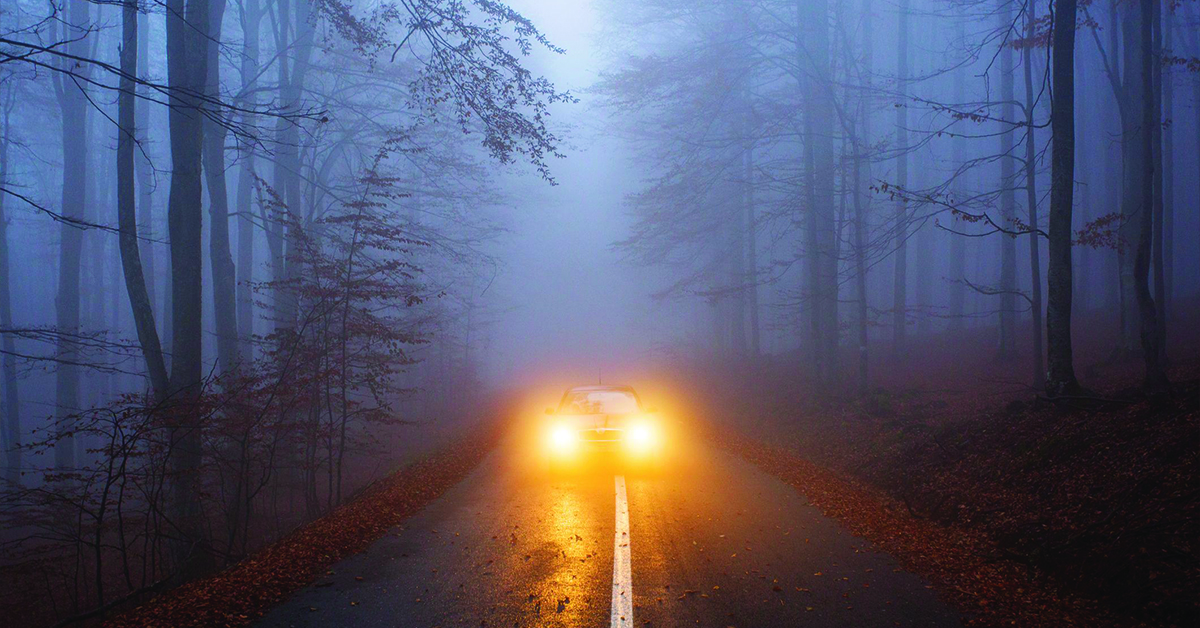Car with yellow fog lights driving on foggy forest road